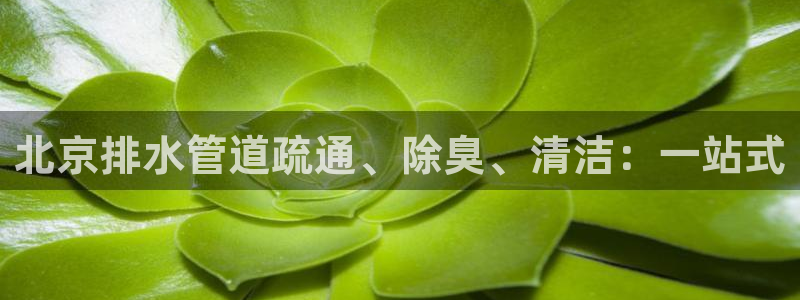 尊龙电子：北京排水管道疏通、除臭、清洁：一站式