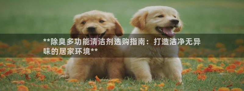 下载尊龙