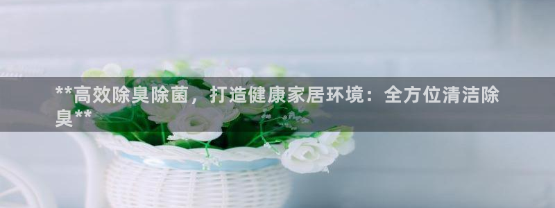 尊龙注册码：**高效除臭除菌，打造健康家居环境：全方位清
