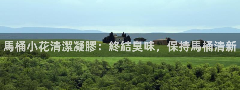 尊龙现金d88：馬桶小花清潔凝膠：終結臭味，保持馬桶清新