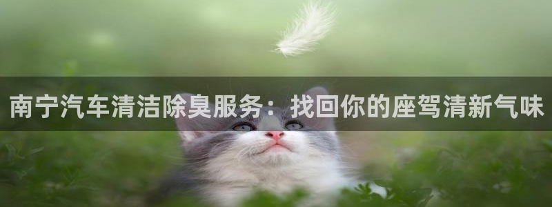 凯时官网的售后服务：南宁汽车清洁除臭服务：找回你的座驾清