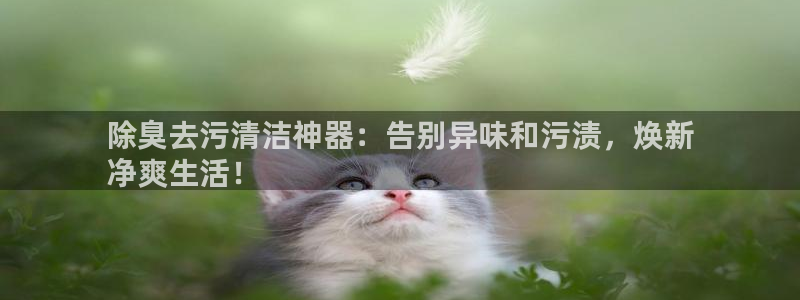 尊龙凯时网