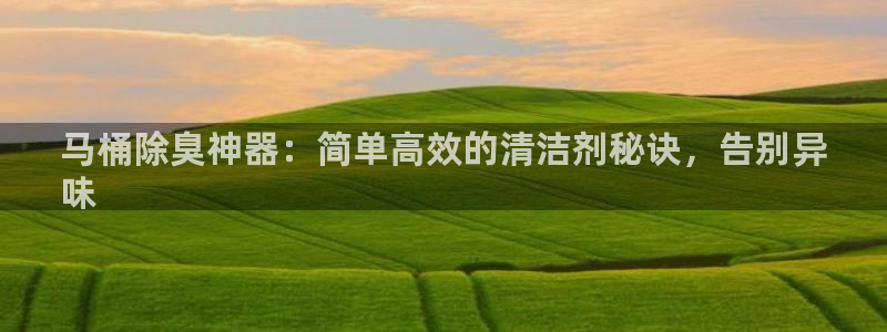 凯时国际app登录：马桶除臭神器：简单高效的清洁剂秘诀，