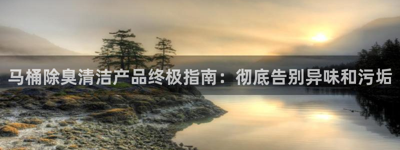 尊龙凯时注册入口：马桶除臭清洁产品终极指南：彻底告别异味