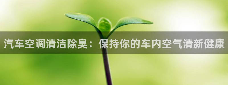 凯时k66娱乐登录：汽车空调清洁除臭：保持你的车内空气清