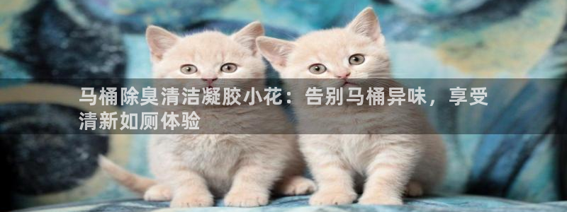凯时a88