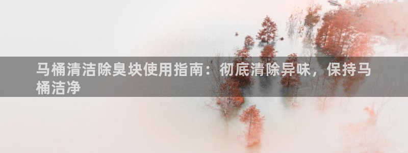 尊龙人生就是博下载：马桶清洁除臭块使用指南：彻底清除异味
