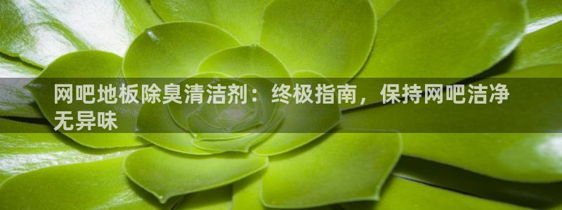 尊龙人生就是搏：网吧地板除臭清洁剂：终极指南，保持网吧洁