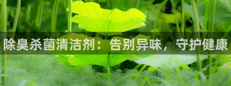 尊龙手机版下载：除臭杀菌清洁剂：告别异味，守护健康