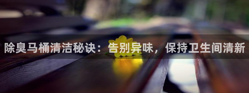 尊龙凯时下载人生就是博：除臭马桶清洁秘诀：告别异味，保持