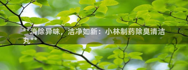 尊龙d88现金关注ag发财网