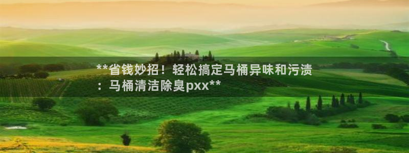 尊龙网站下分慢：**省钱妙招！轻松搞定马桶异味和污渍
：