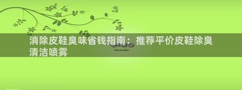 尊龙凯时俱乐部：消除皮鞋臭味省钱指南：推荐平价皮鞋除臭
