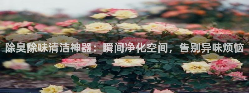 尊龙人生就是博登录：除臭除味清洁神器：瞬间净化空间，告别
