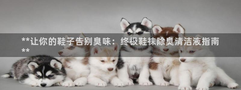 尊龙人生就是博登录首页：**让你的鞋子告别臭味：终极鞋袜