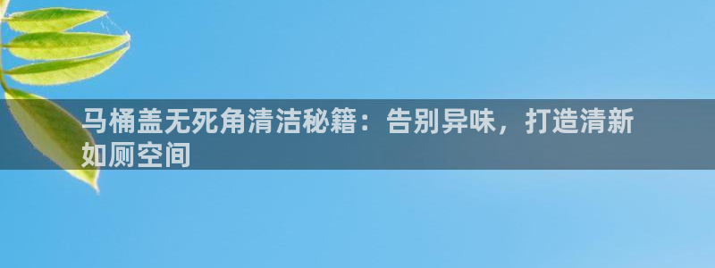 尊龙网站手机下载：马桶盖无死角清洁秘籍：告别异味，打造清