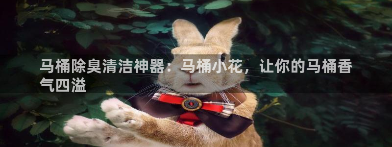 尊龙游戏官网：马桶除臭清洁神器：马桶小花，让你的马桶香
