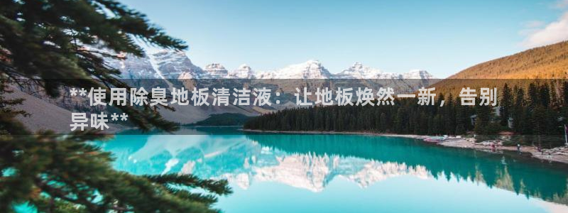 尊龙凯时是不是合法：**使用除臭地板清洁液：让地板焕然一