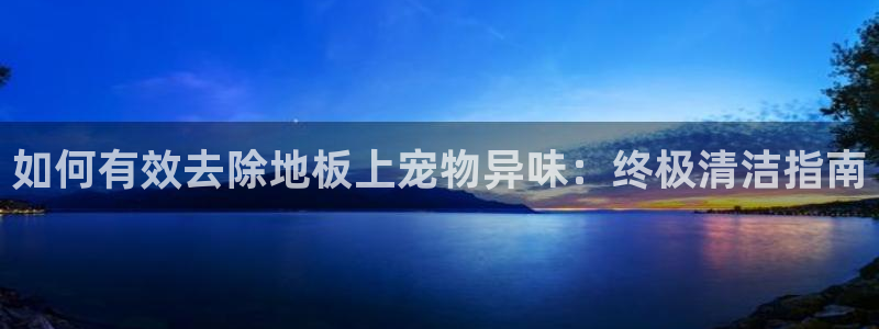 尊龙目前在哪