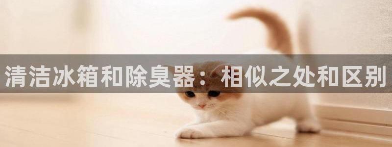 尊龙凯时邀请码：清洁冰箱和除臭器：相似之处和区别