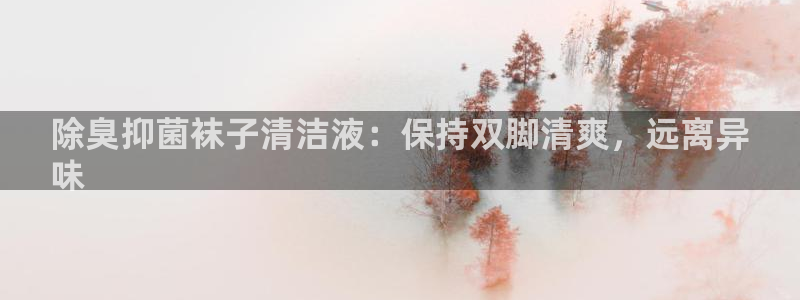 凯时是AG优质运营商：除臭抑菌袜子清洁液：保持双脚清爽，