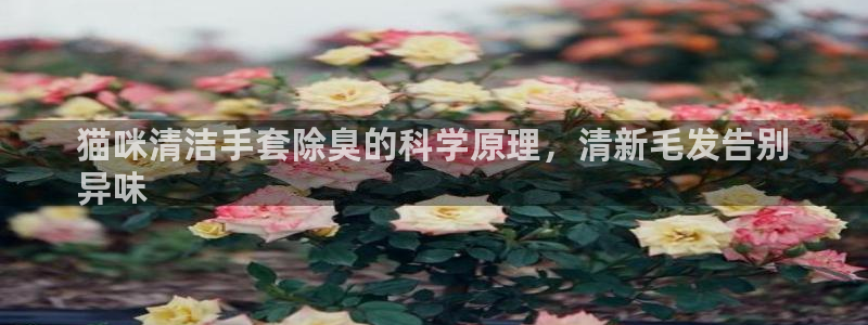 尊龙凯时捕鱼游戏能玩吗