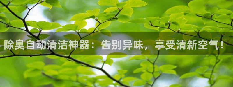 尊龙凯时开发：除臭自动清洁神器：告别异味，享受清新空气！