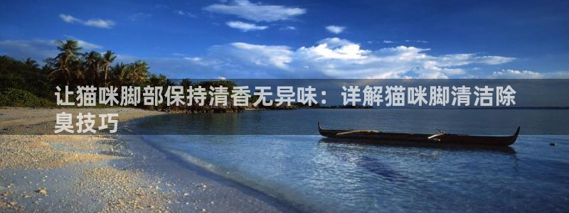 尊龙凯时公司官网：让猫咪脚部保持清香无异味：详解猫咪脚清