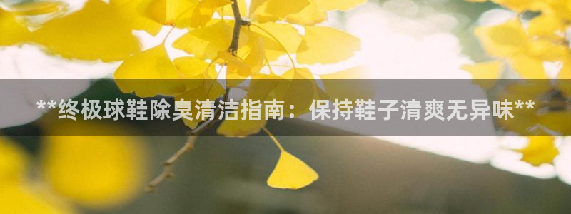 尊龙专访视频：**终
