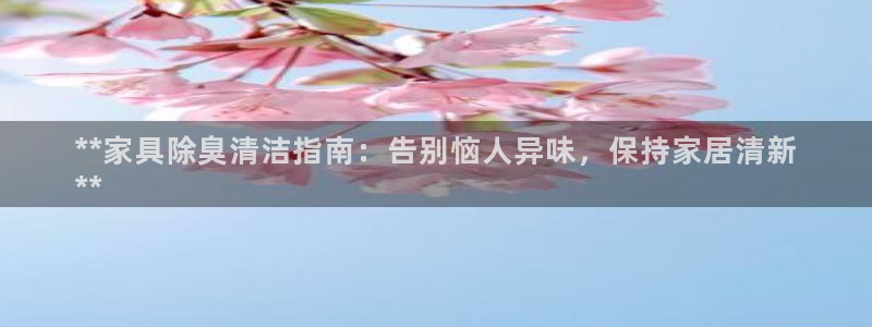 尊龙eight is enough：**家具除臭清洁指南