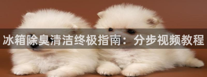 尊龙人生就是博旧版现