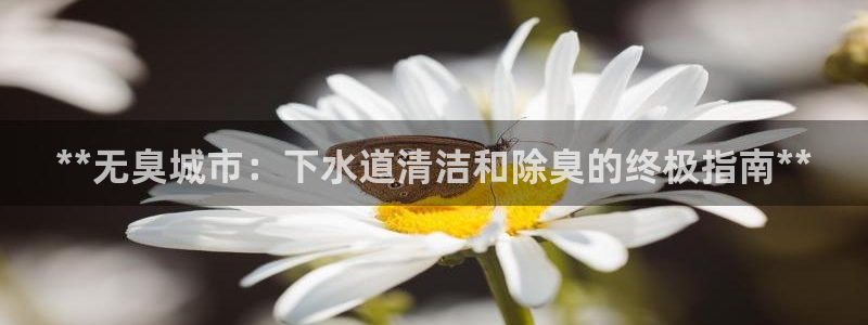 尊龙游戏中心：**无臭城市：下水道清洁和除臭的终极指南*