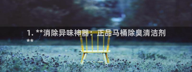尊龙信息科技有限公司：1. **消除异味神器：正品马桶除