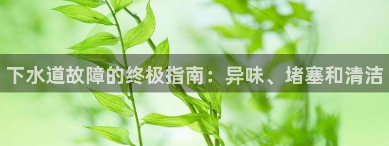 尊龙手机版下载