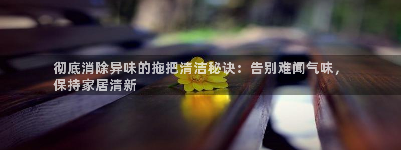 尊龙凯时代理官网入口
