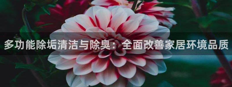 尊龙网站手机下载