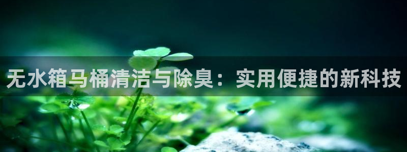 尊龙AG旗舰厅官网