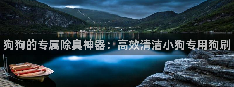 尊龙凯时福米推荐人