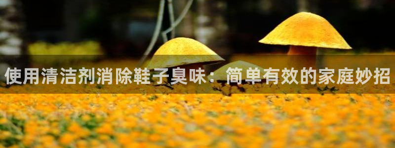 尊龙凯时推荐人：使用清洁剂消除鞋子臭味：简单有效的家庭妙