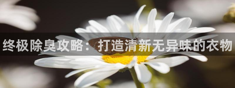 凯时k66官网登录：终极除臭攻略：打造清新无异味的衣物