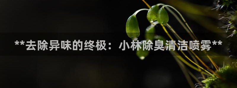 尊龙官方平台：**去除异味的终极：小林除臭清洁喷雾**