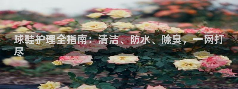 尊龙凯时平台怎么样：球鞋护理全指南：清洁、防水、除臭，一