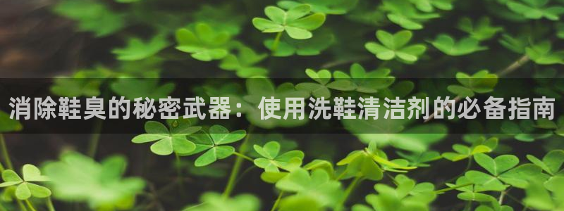 尊龙-人生就是博：消除鞋臭的秘密武器：使用洗鞋清洁剂的必