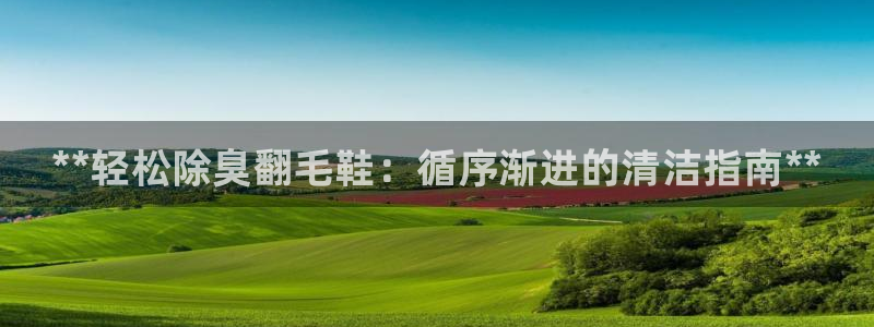 尊龙凯时网站首页手机登录：**轻松除臭翻毛鞋：循序渐进的