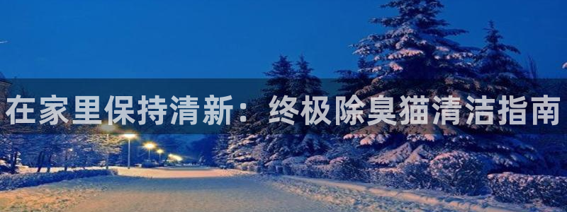 尊龙z6官网：在家里保持清新：终极除臭猫清洁指南