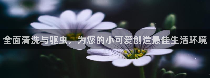 尊龙凯时ag旗舰厅官