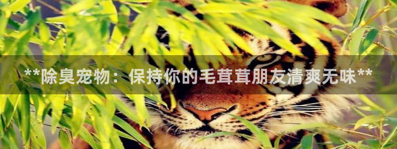 凯时AG网：**除臭宠物：保持你的毛茸茸朋友清爽无味**