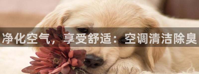 尊龙凯时城游戏官网