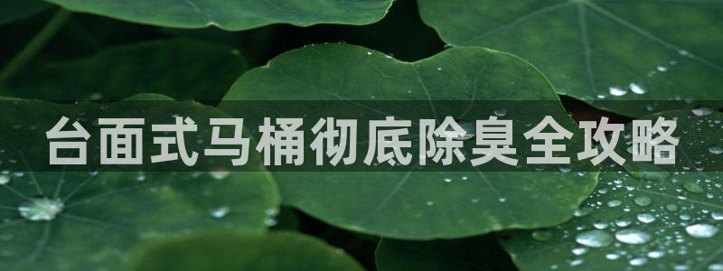 尊龙人生就是博一下下：台面式马桶彻底除臭全攻略