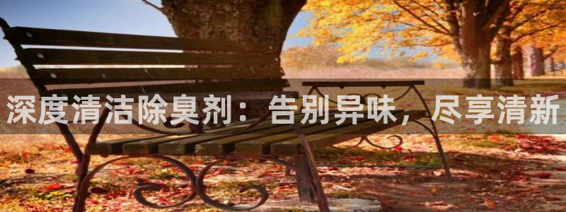 尊龙人生就是博官方官网：深度清洁除臭剂：告别异味，尽享清